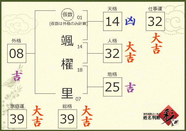 診断結果画像
