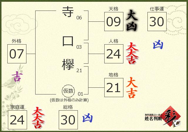 診断結果画像