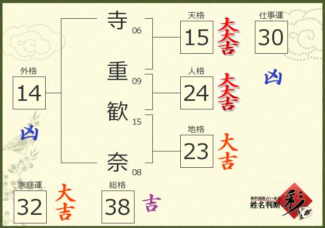 診断結果画像