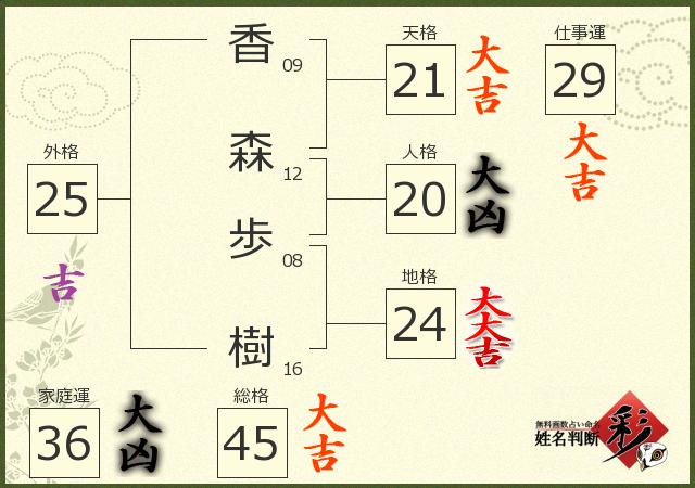 診断結果画像