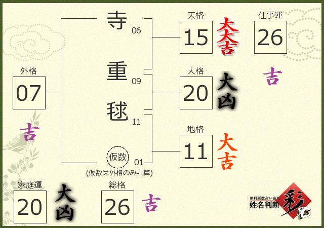 診断結果画像