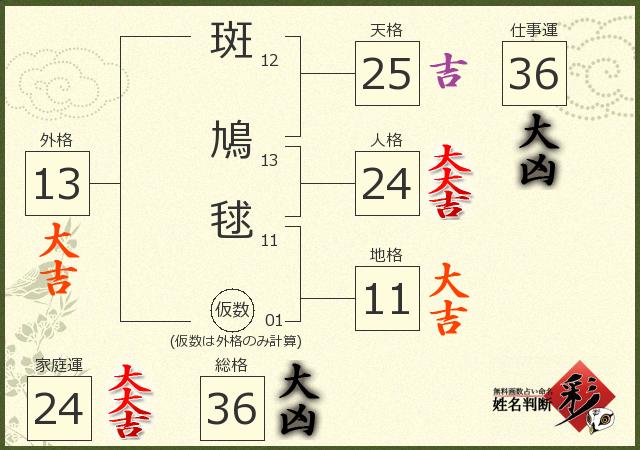 診断結果画像