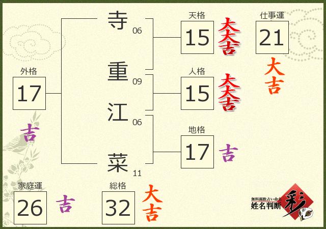 診断結果画像