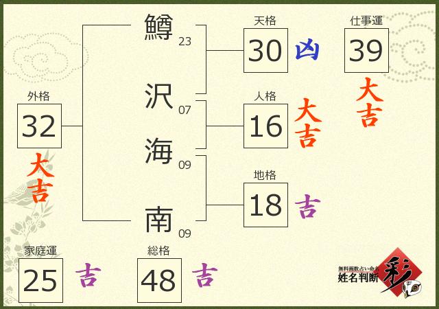 診断結果画像