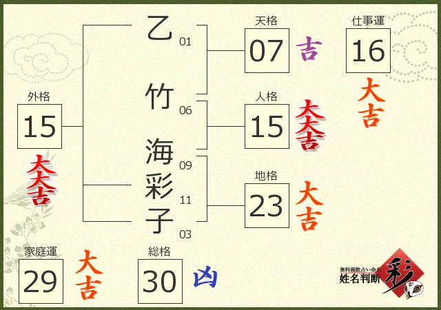診断結果画像