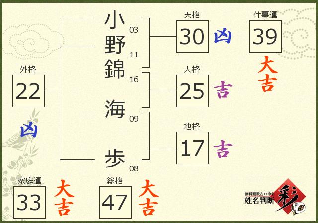 診断結果画像