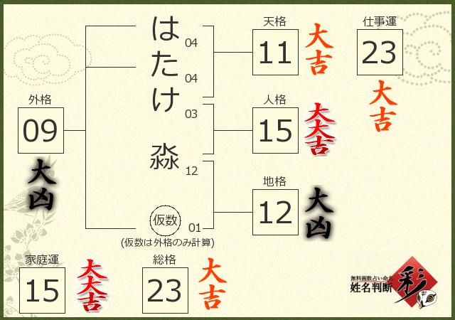 診断結果画像