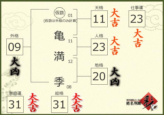 診断結果画像