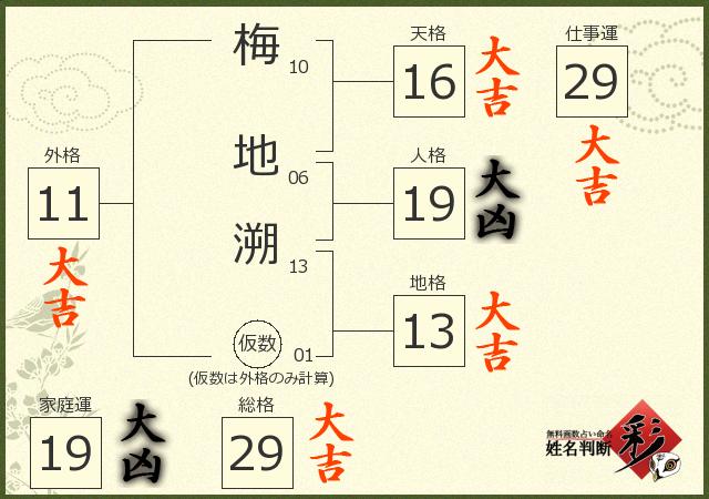 診断結果画像