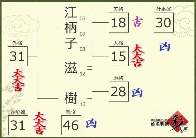 診断結果画像