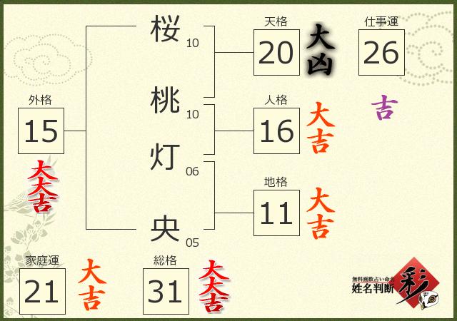 診断結果画像