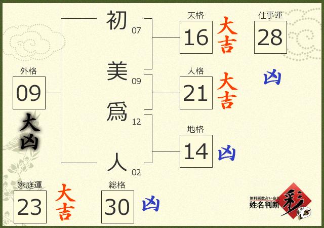 診断結果画像