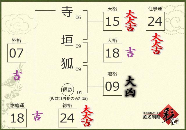 診断結果画像