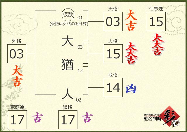 診断結果画像