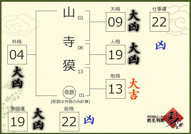 診断結果画像