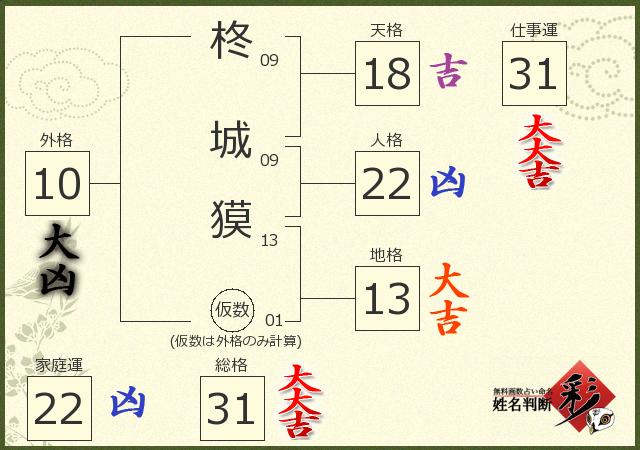 診断結果画像