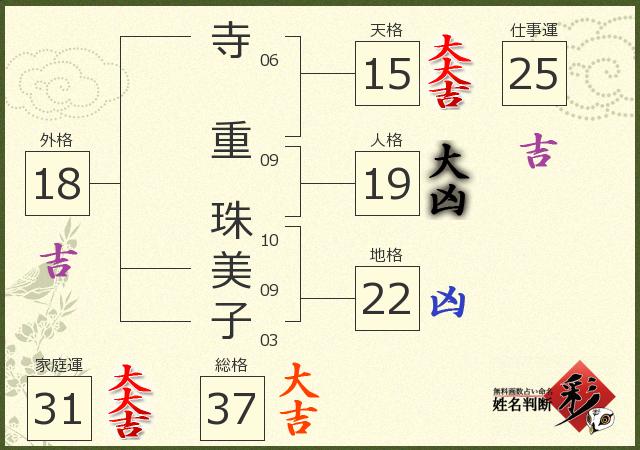 診断結果画像