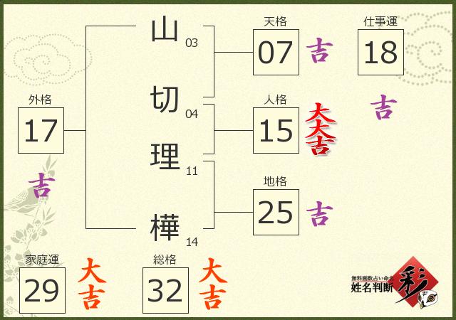 診断結果画像