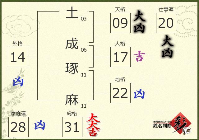 診断結果画像