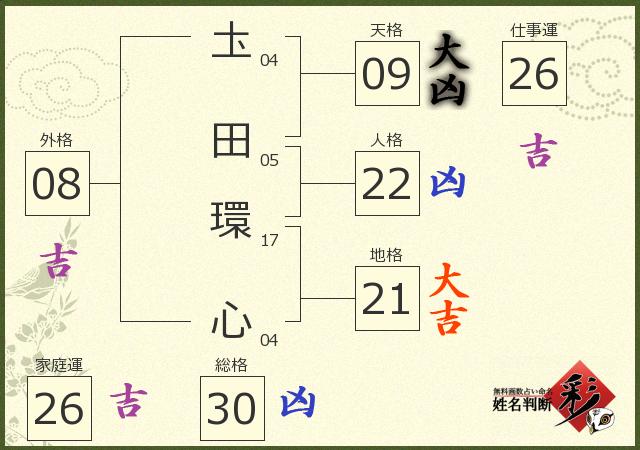 診断結果画像