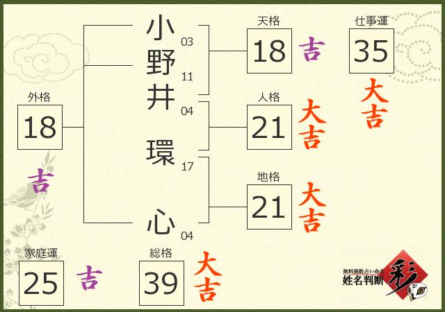 診断結果画像