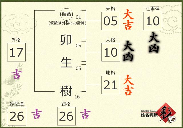診断結果画像