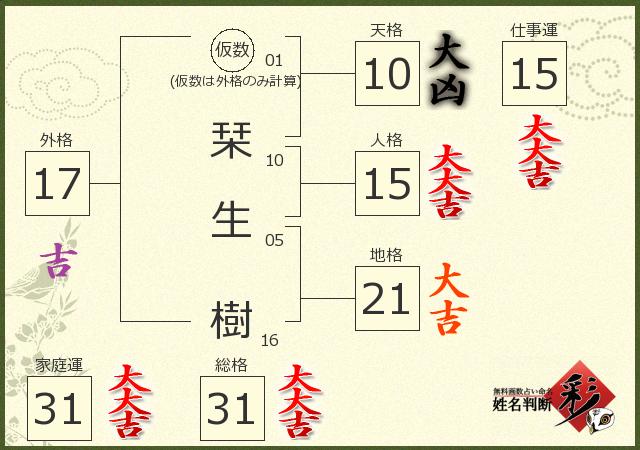 診断結果画像