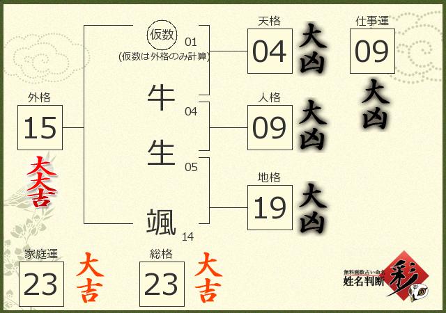 診断結果画像