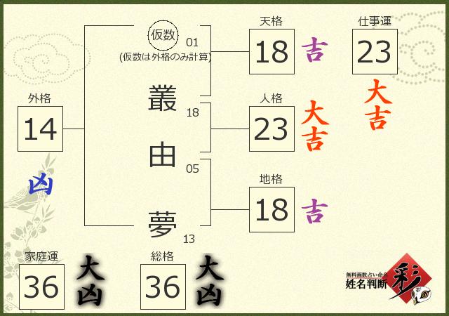 診断結果画像