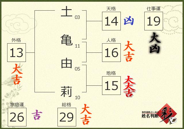 診断結果画像