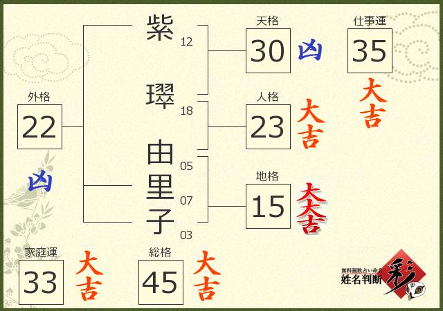 診断結果画像