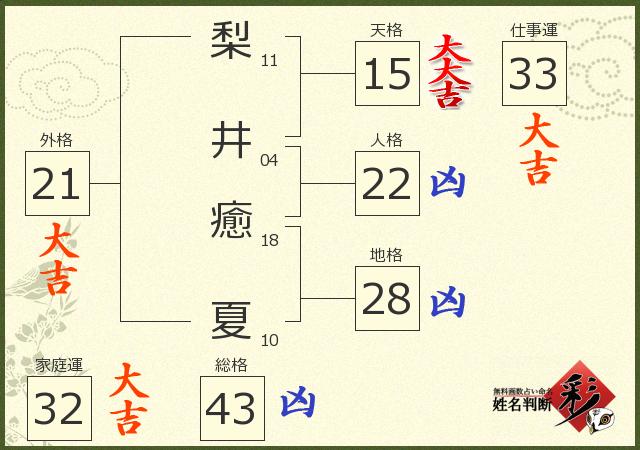 診断結果画像