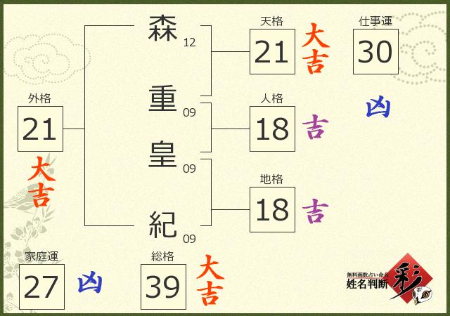 診断結果画像
