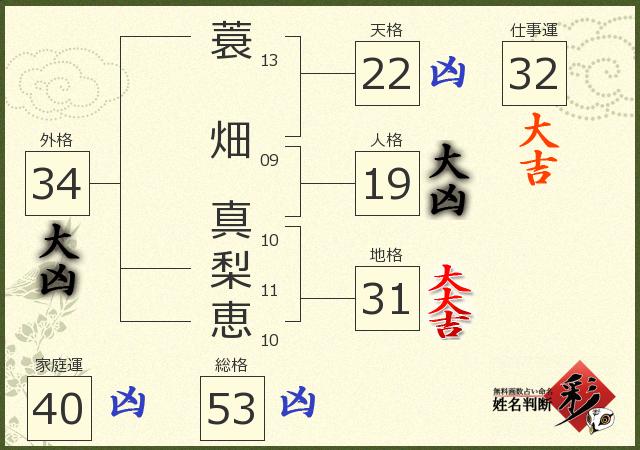 診断結果画像