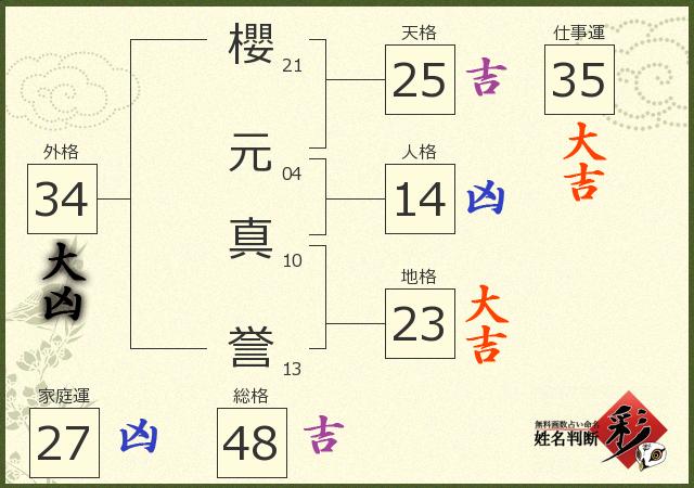 診断結果画像