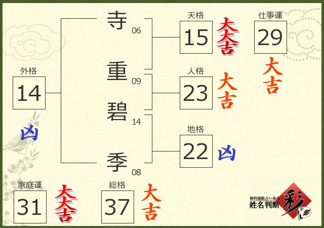 診断結果画像