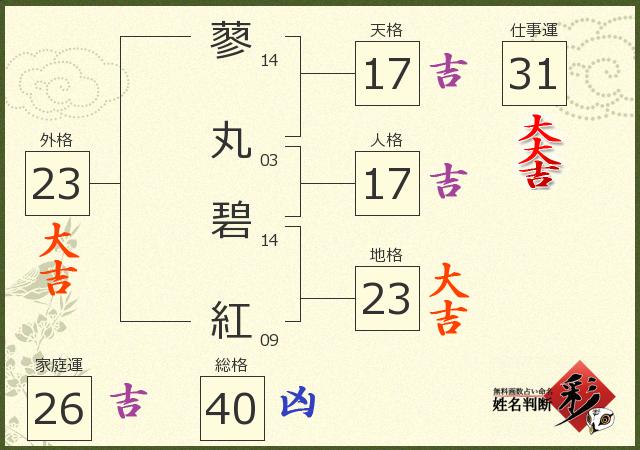 診断結果画像