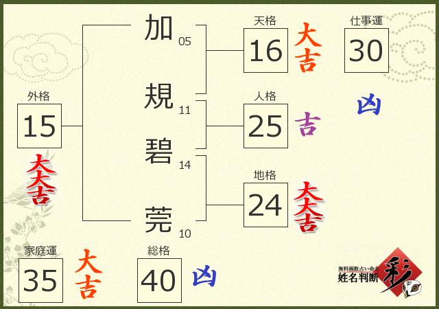 診断結果画像