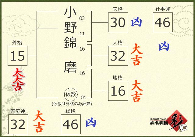 診断結果画像