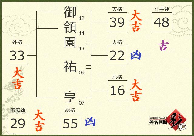 診断結果画像