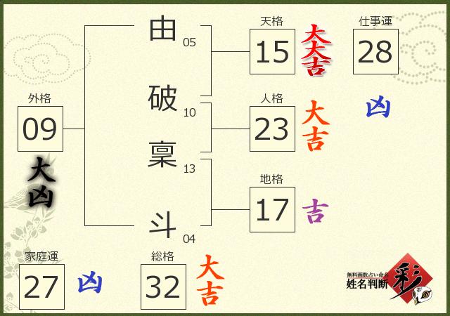 診断結果画像