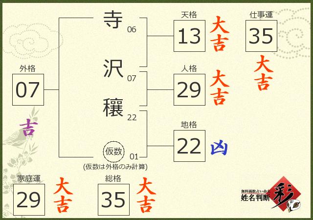 診断結果画像