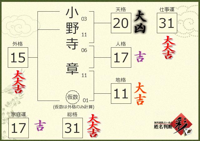診断結果画像