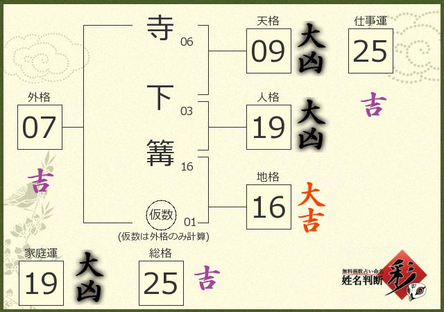 診断結果画像
