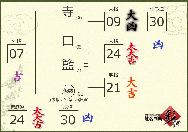 診断結果画像