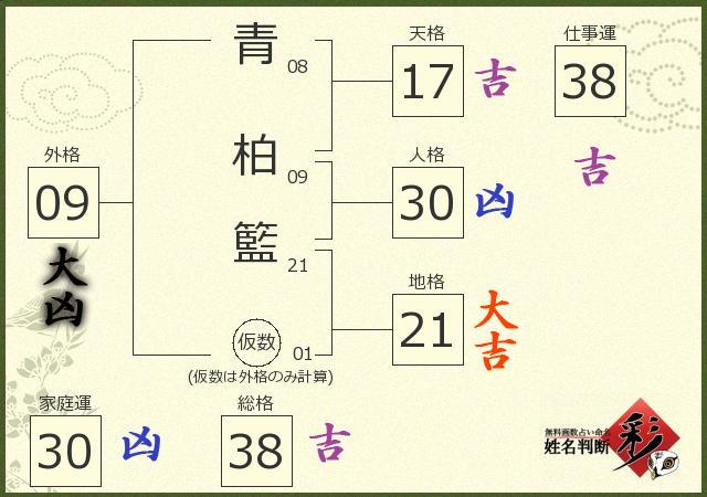 診断結果画像