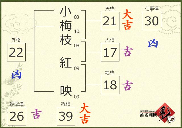 診断結果画像