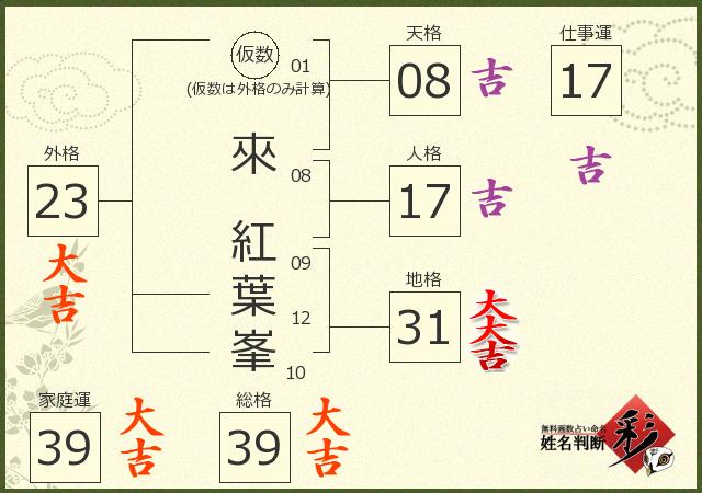 診断結果画像