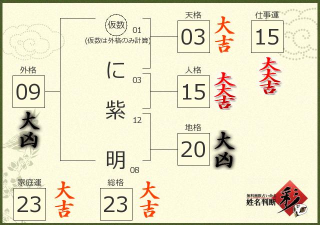 診断結果画像