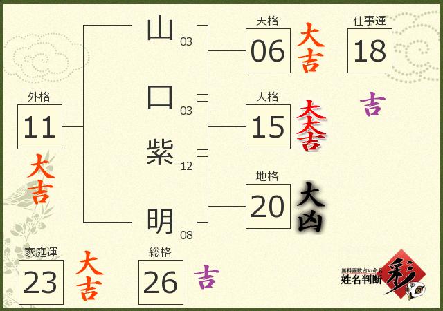 診断結果画像
